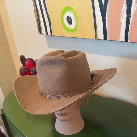 Pedigreed registered Thoroughbred moleskin brown cowboy hat